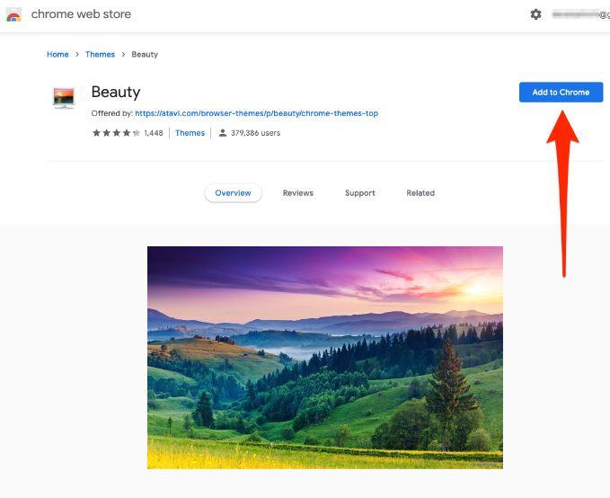 Add to Chrome button Google Chrome Web Store Theme