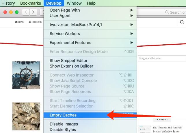 Empty Cache command in Safari Developer Menu