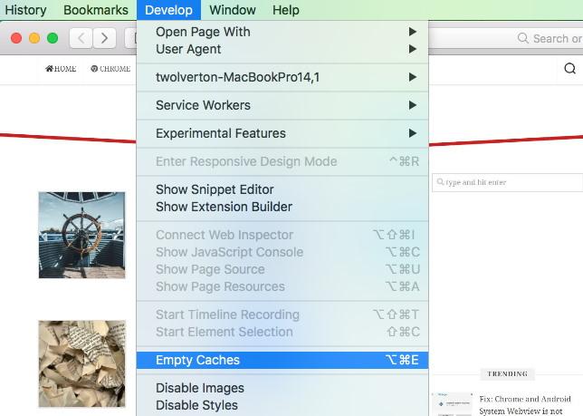 Empty Cache from Develop menu in Safari Mac