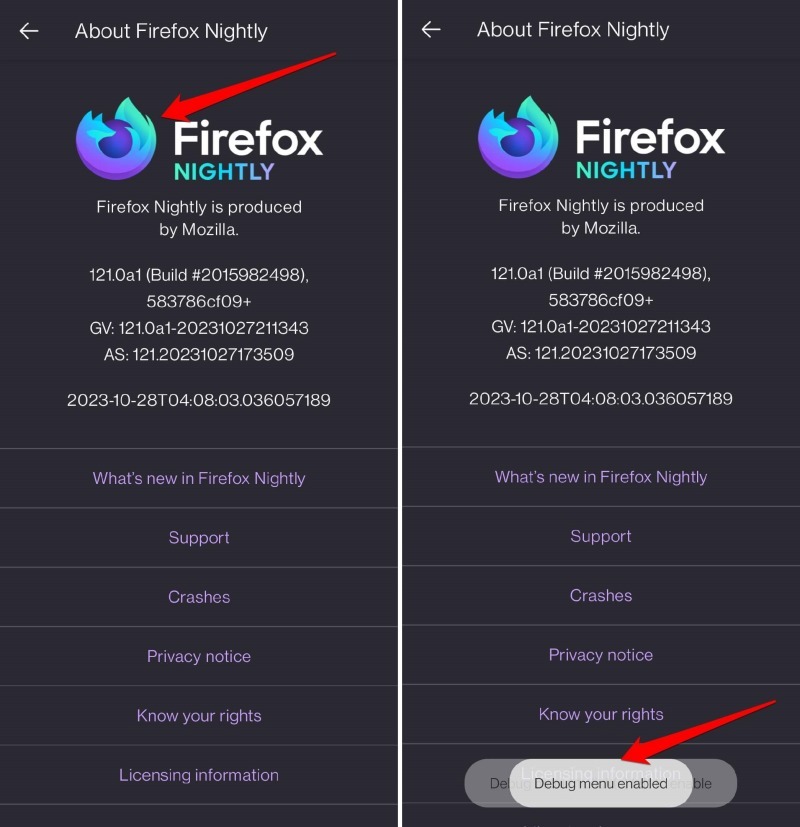 enable debug mode on Firefox nightly