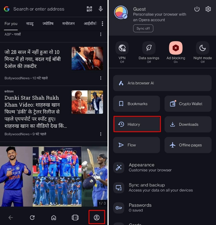 opera browsing history Android