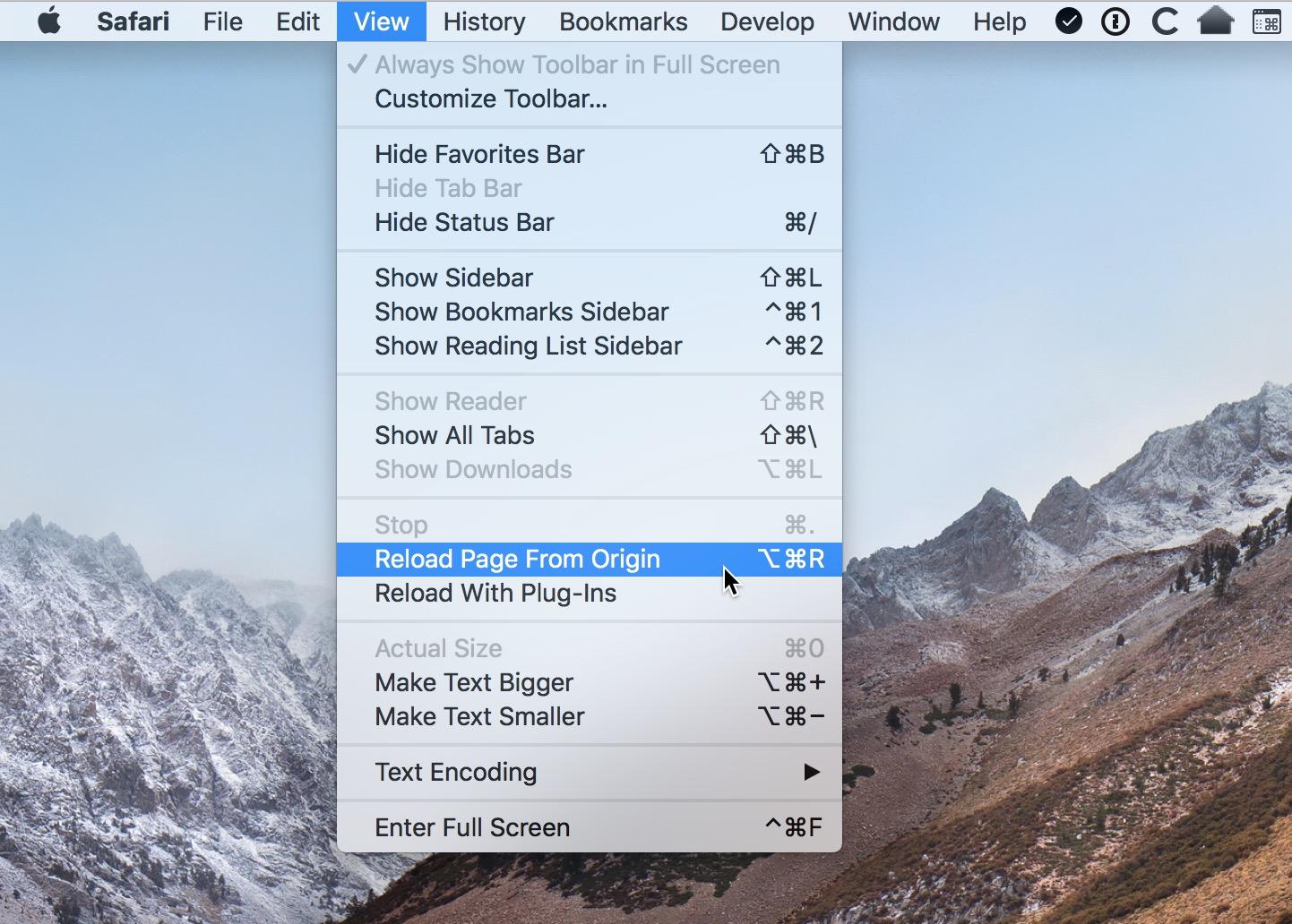 Reload Page from Origin from in Safari Mac
