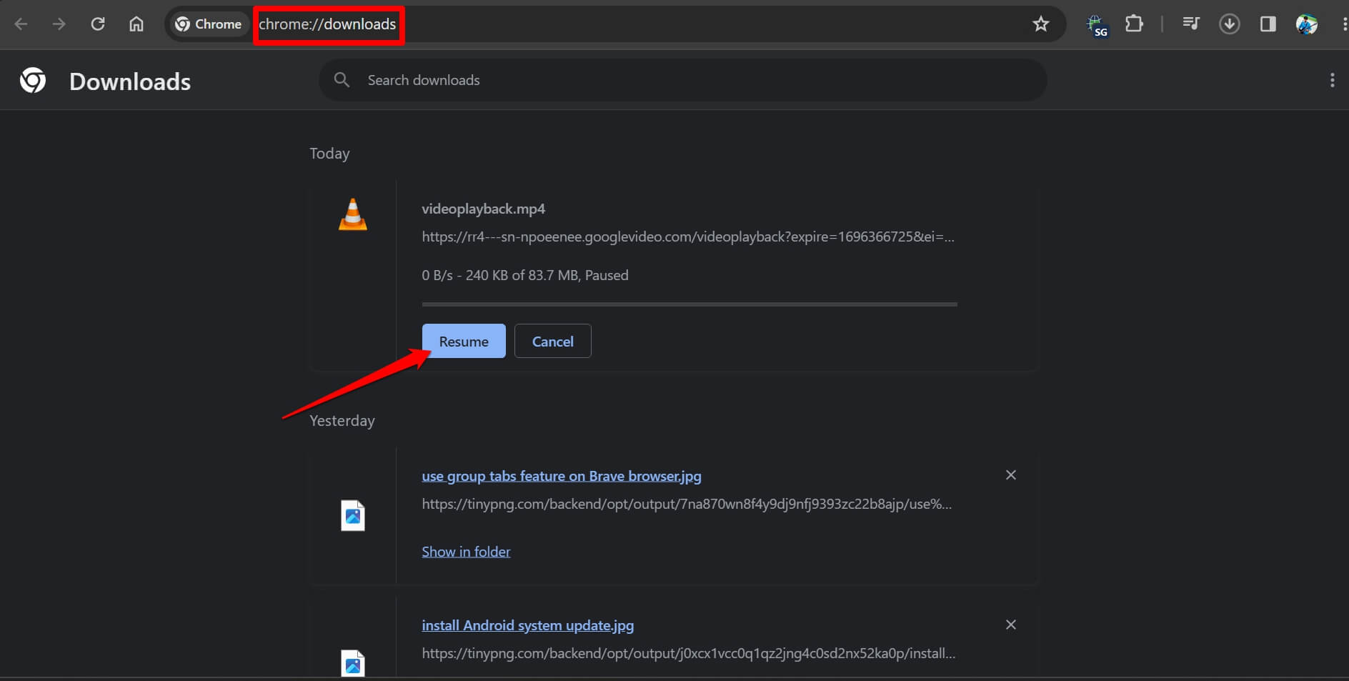 Resume Download in Chrome browser on Computer