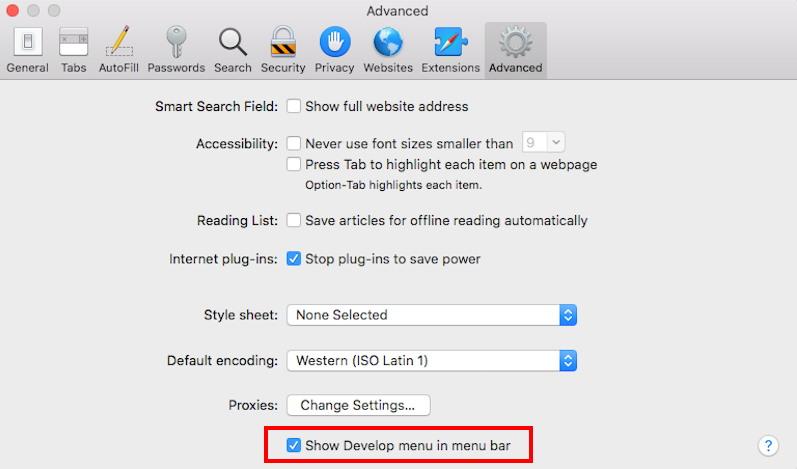 Show Develop menu in menubar on Safari