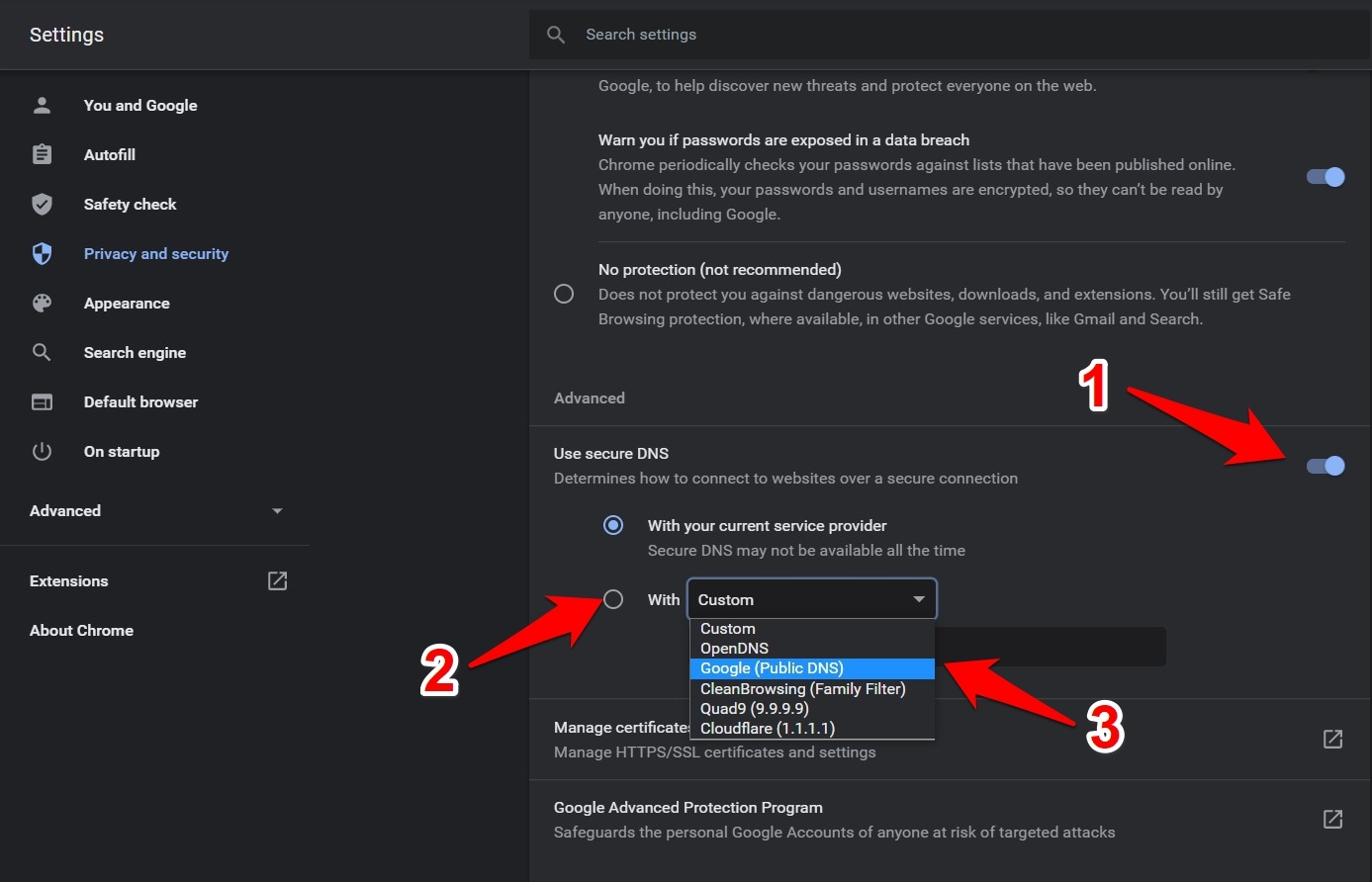 Use Public DNS Service in Chrome