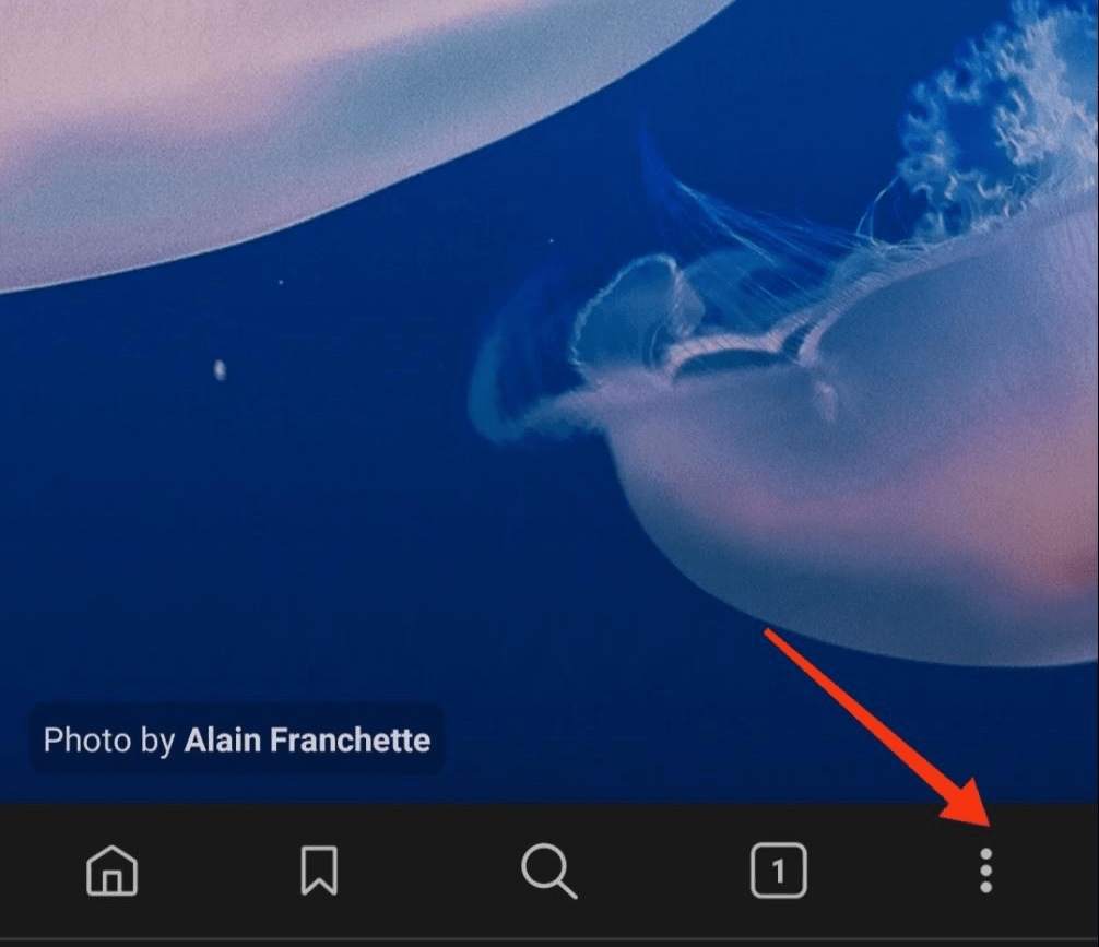 3 Dot More menu option in Brave Mobile