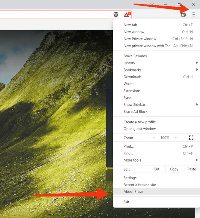 About Brave browser menu