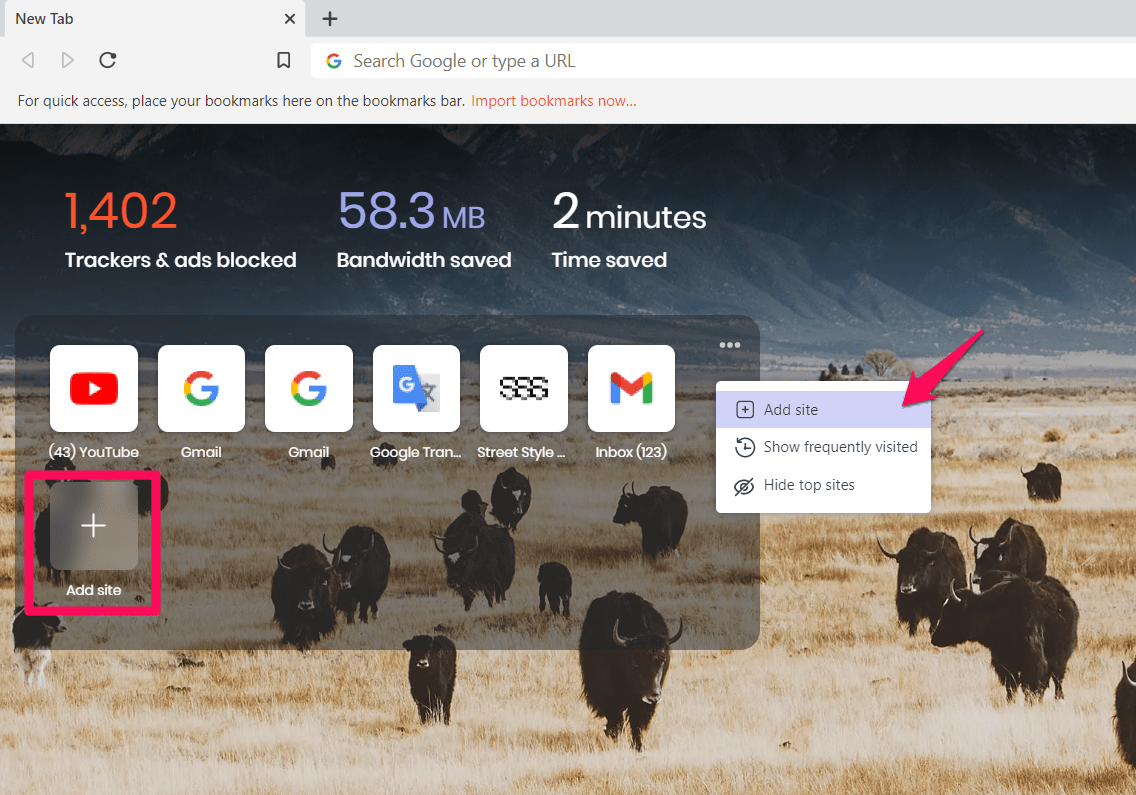 Add site option in More menu Brave Screen Home