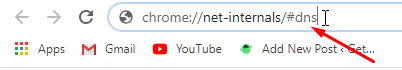 chrome net internal dns settings