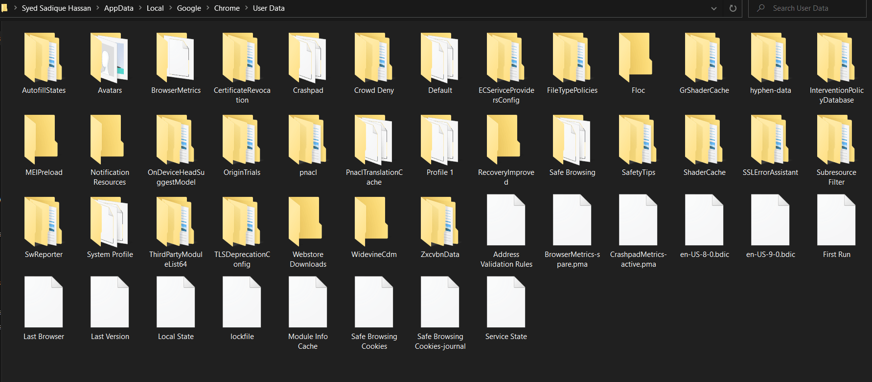Chrome User Data folder in Windows