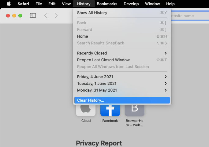 Clear History command under History menubar in Safari