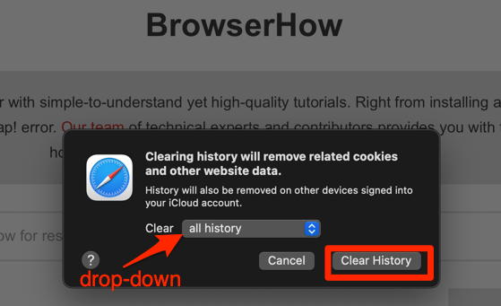 Clear History command window on Safari app on Mac