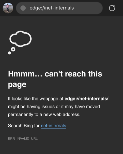 Edge Net Internals DNS page Invalid URL on iPhone