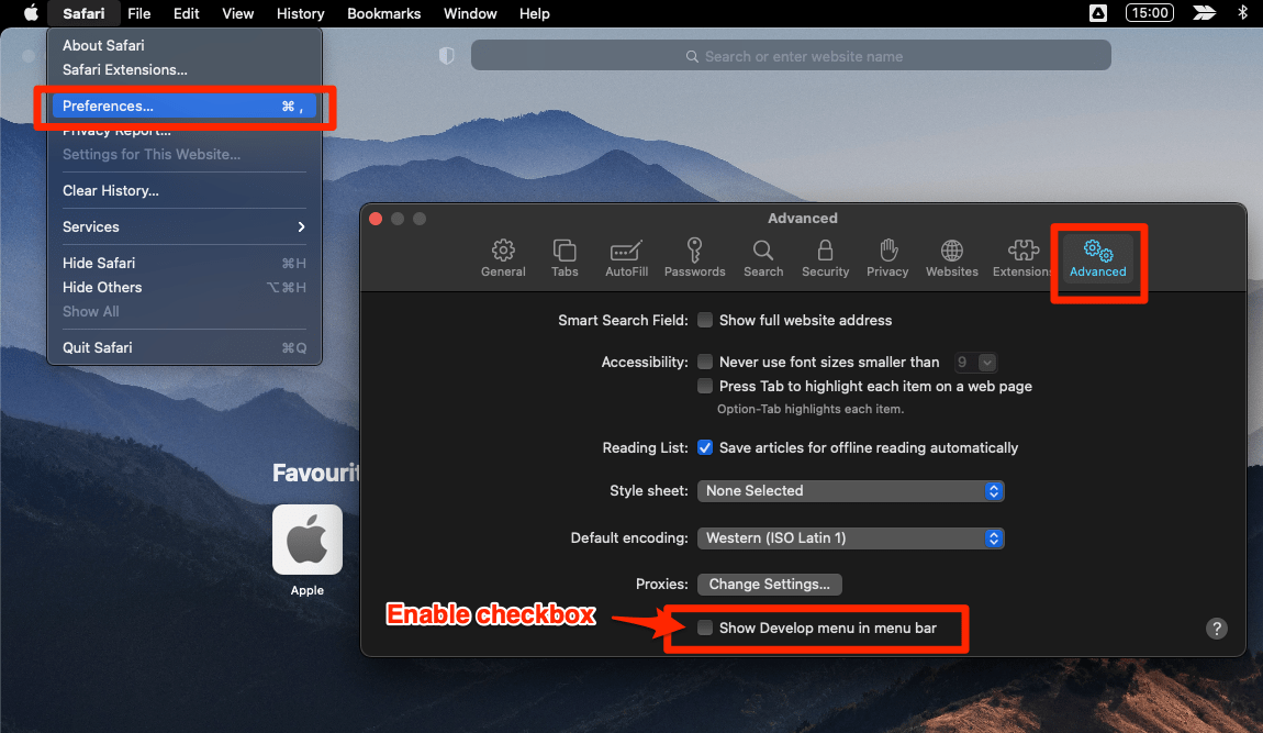 Enable checkbox for Show Develop menu in Safari Menu bar