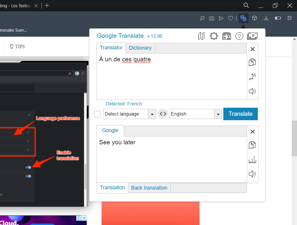 Google Translate Opera Add-on Translation Window