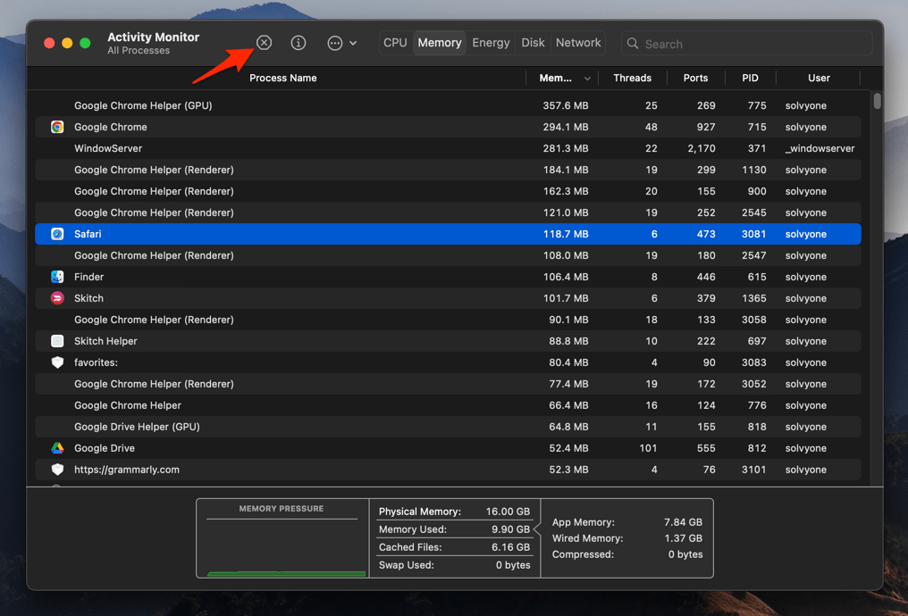 Kill Safari process from Activity Monitor in macOS