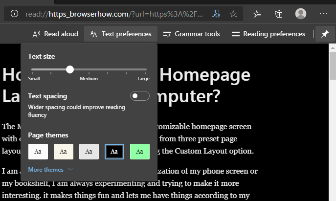 Microsoft Edge Computer Immersive Reader Text Preferences