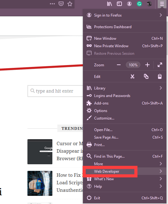 Mozilla Firefox Web Developer Mode option