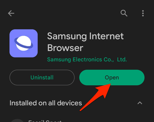 Open Samsung Internet browser in Play Store on Android Phone