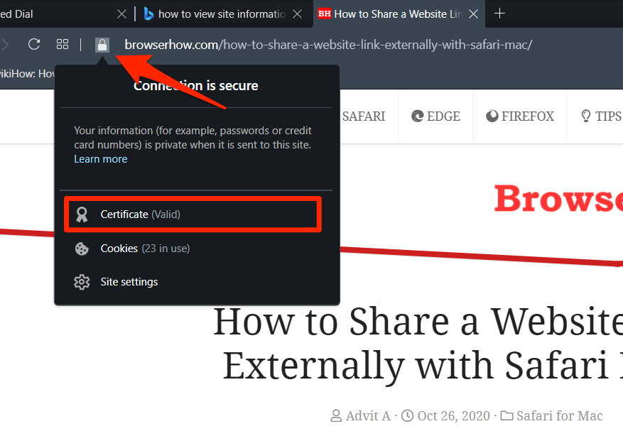 Opera Connection and Site Information in Padlock