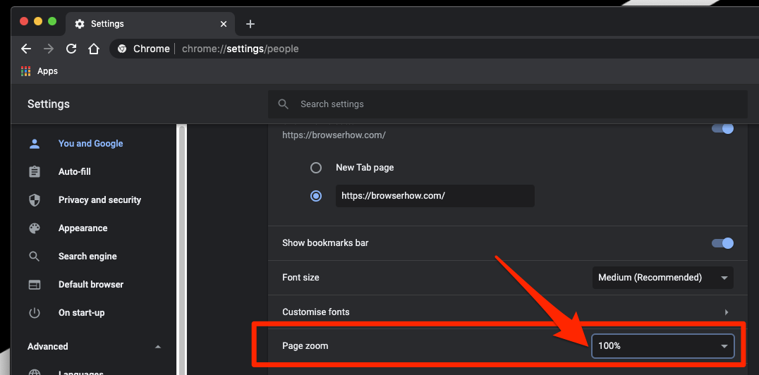 Page zooming in chrome computer