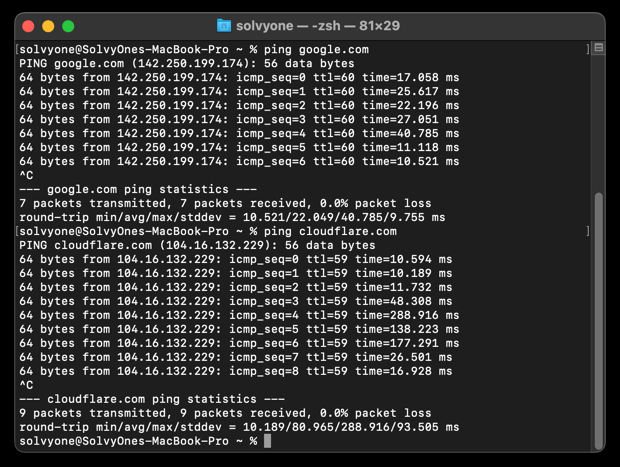 ping google.com and cloudflare.com using macOS terminal