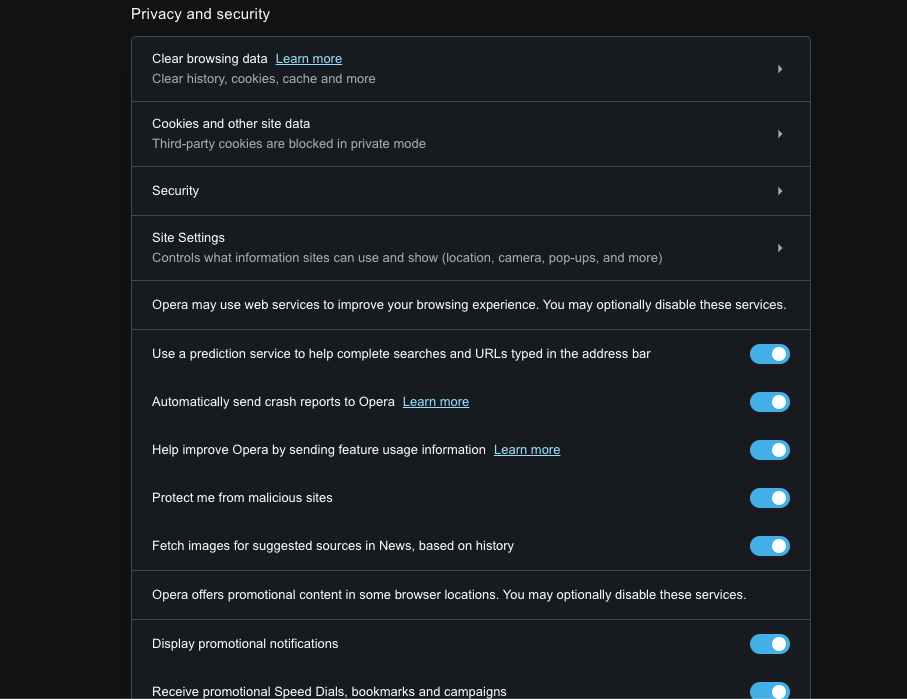 Privacy and Security Settings option in Opera computer