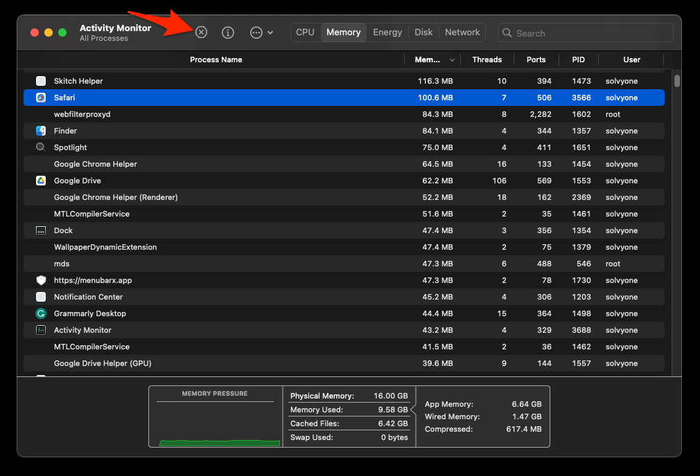 Quit Safari app in Activity Monitor on Mac