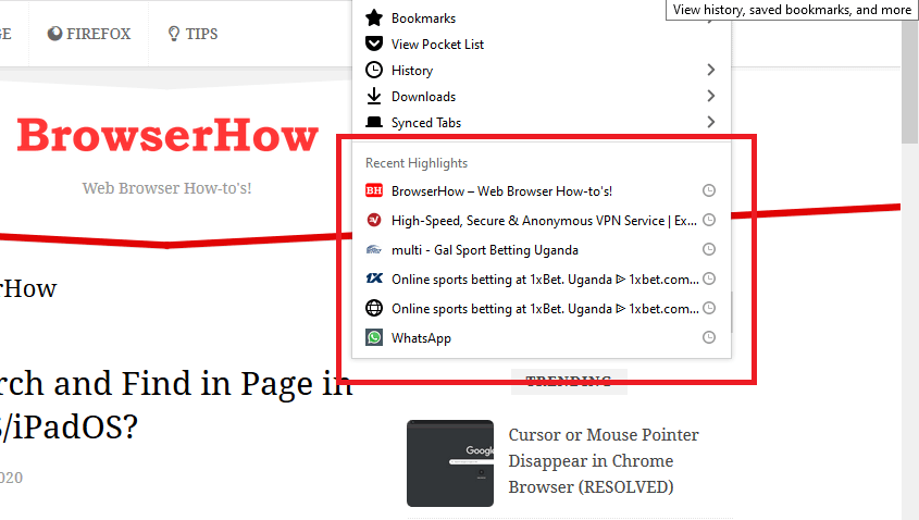 Recent Highlights in Firefox computer browser