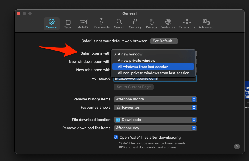 Safari opens with all windows from last session preference