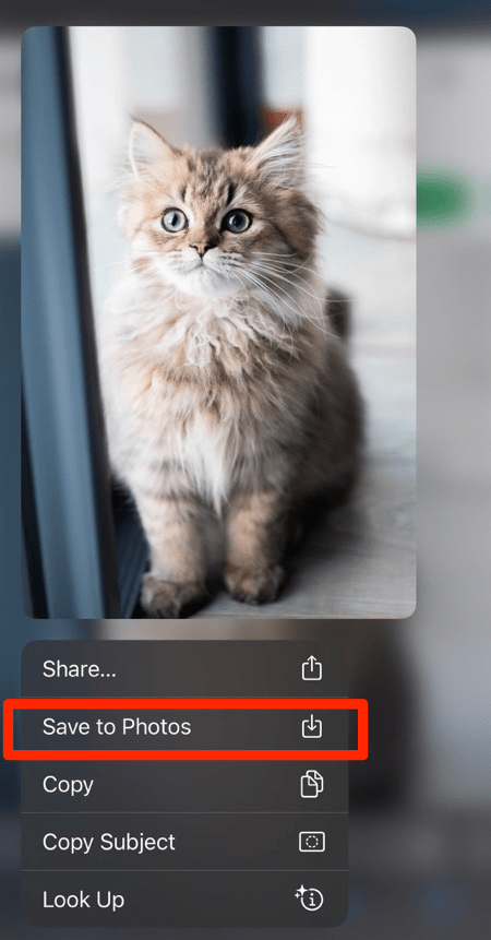 Save to Photos option in Safari browser on iOS