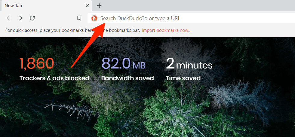 Search DuckDuckGo or type URL in Brave computer