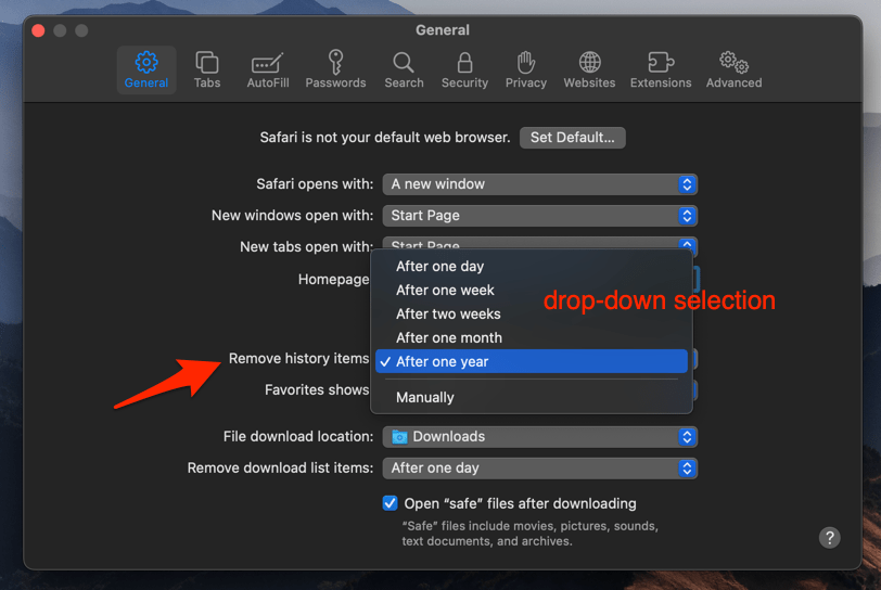Select Remove history items on certain time period on Safari app on Mac