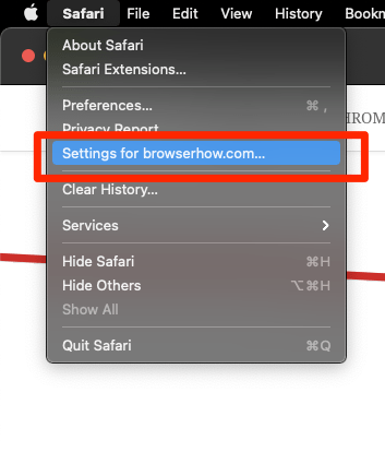 Settings for this website in Safari Mac