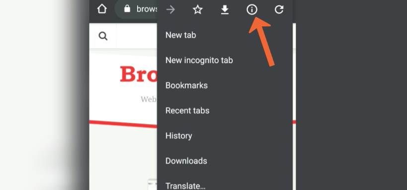 Site Information Icon Chrome Android