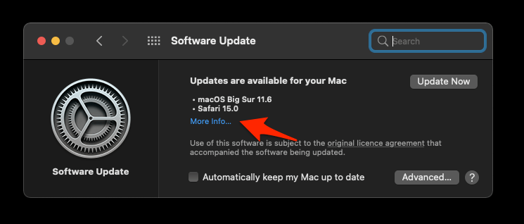 Software Update More Info link