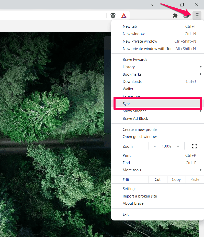 Sync option menu in Brave browser
