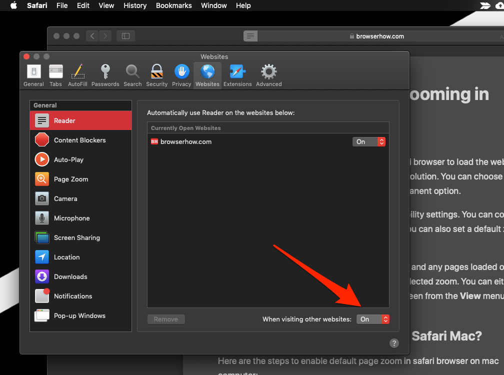 Website Reader View in Safari Mac OS computer